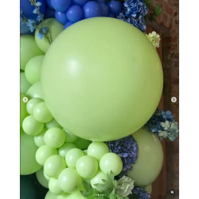 Kalisan Latex 5″ Macaron Pistachio – 100CT – 10530131